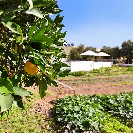 Algodones With Pool By Villagrancanaria Villa *