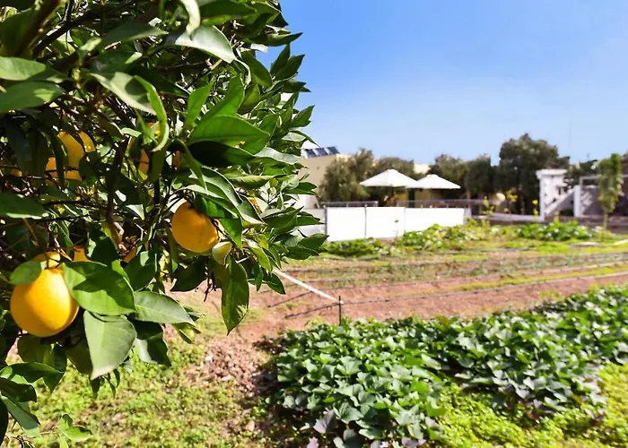 Algodones With Pool By Villagrancanaria Вилла *